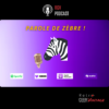 PAROLE DE ZEBRE